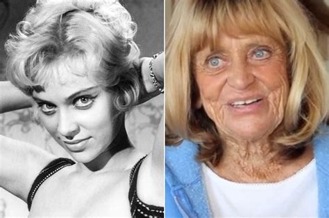 joy harmon then and now|From Cheesecake to Cheesecake: The Joy Harmon。